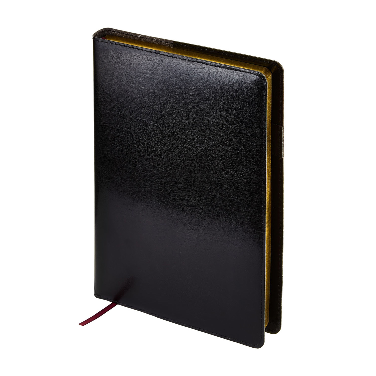 Ежедневник BrunoVisconti полудатированный А5 (143 х 216 мм) "PROFY" черный 416 стр. Арт. 3-073/02