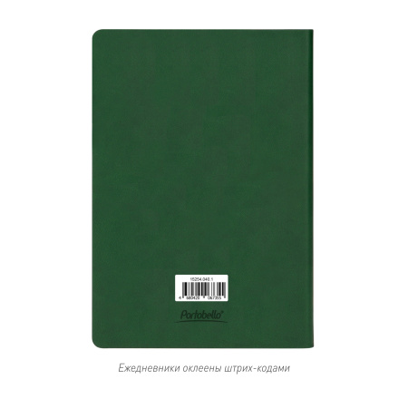 Ежедневник Латте (Latte NEW) недатированный, зеленый/лимонный (без упаковки, без стикера)