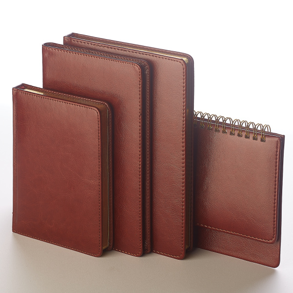 Планинг Альт недатированный
(305 х 130 мм), коричневый, 128 стр.
SIDNEY NEBRASKA
Арт. 3-318/03