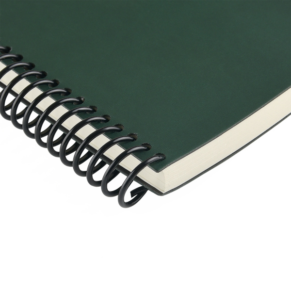 Ежедневник BrunoVisconti® недатированный А5 (130 х 215 мм) "AGENDA" зеленый 256 стр.