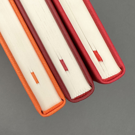 Ежедневник BrunoVisconti® недатированный А5 (142 х 212 мм) "MEGAPOLIS VELVET NEW" оранжевый 272 стр.