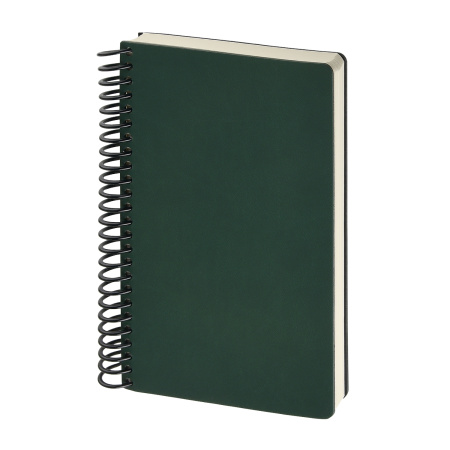 Ежедневник BrunoVisconti® недатированный А5 (130 х 215 мм) "AGENDA" зеленый 256 стр.